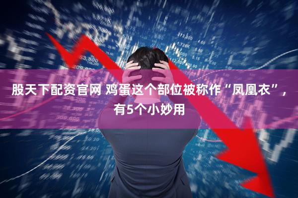 股天下配资官网 鸡蛋这个部位被称作“凤凰衣”，有5个小妙用